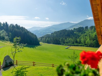 Apartment Romantikchalet NATUR (Kurzbucherrate) - Outdoor photo 40