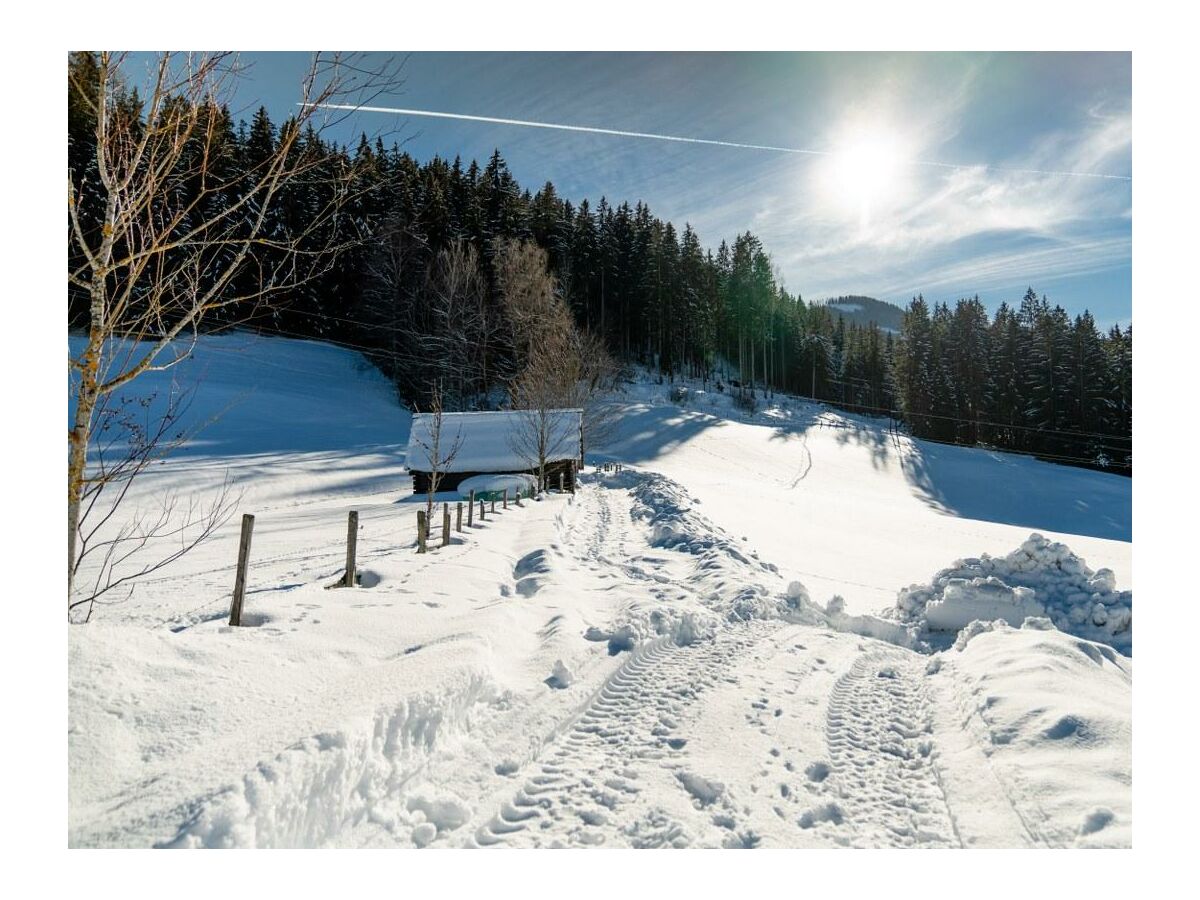 Holiday room "Grimmingblick" - Familienzimmer mit Dusche, WC - Outdoor photo 4