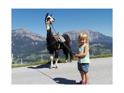 Holiday room "Grimmingblick" - Familienzimmer mit Dusche, WC - Outdoor photo 36