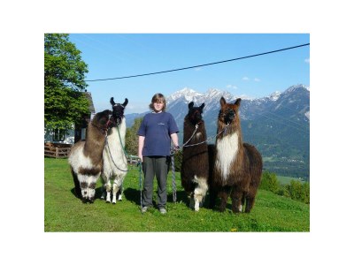 Holiday room "Grimmingblick" - Familienzimmer mit Dusche, WC - Outdoor photo 41