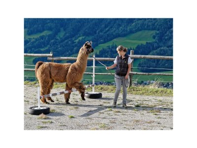 Holiday room "Grimmingblick" - Familienzimmer mit Dusche, WC - Outdoor photo 44