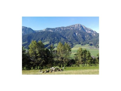 Holiday room "Grimmingblick" - Familienzimmer mit Dusche, WC - Outdoor photo 45