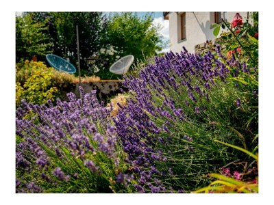 Holiday room Stoderblick - DZ mit Dusche, WC - Outdoor photo 14