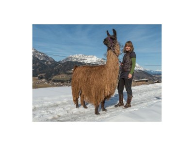 Holiday room Stoderblick - DZ mit Dusche, WC - Outdoor photo 29