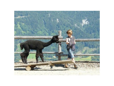 Holiday room Stoderblick - DZ mit Dusche, WC - Outdoor photo 34