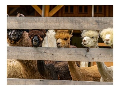 Holiday room Stoderblick - DZ mit Dusche, WC - Outdoor photo 48