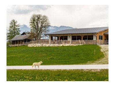 Apartment Ferienhaus Klausnerhof - 4 Schlafzimmer, 4 Bäder - Outdoor photo 35