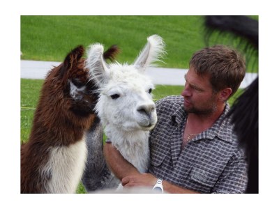 Apartment Ferienhaus Klausnerhof - 4 Schlafzimmer, 4 Bäder - Outdoor photo 39