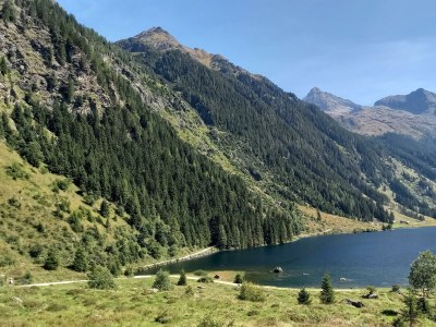 Apartment App./1 Schlafr.+Wohn-Schlafzimmer/Du., Bad, WC - Outdoor photo 8