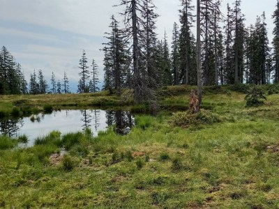 Apartment App./1 Schlafr.+Wohn-Schlafzimmer/Du., Bad, WC - Outdoor photo 9