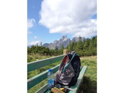 Apartment App./1 Schlafr.+Wohn-Schlafzimmer/Du., Bad, WC - Outdoor photo 11