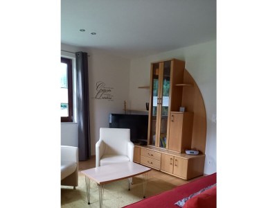 Apartment App./1 Schlafr.+Wohn-Schlafzimmer/Du., Bad, WC - Features photo 18