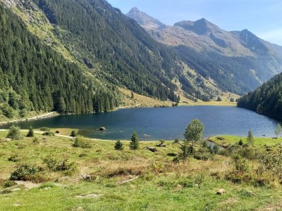 Apartment App./1 Schlafr.+Wohn-Schlafzimmer/Du., Bad, WC - Features photo 27