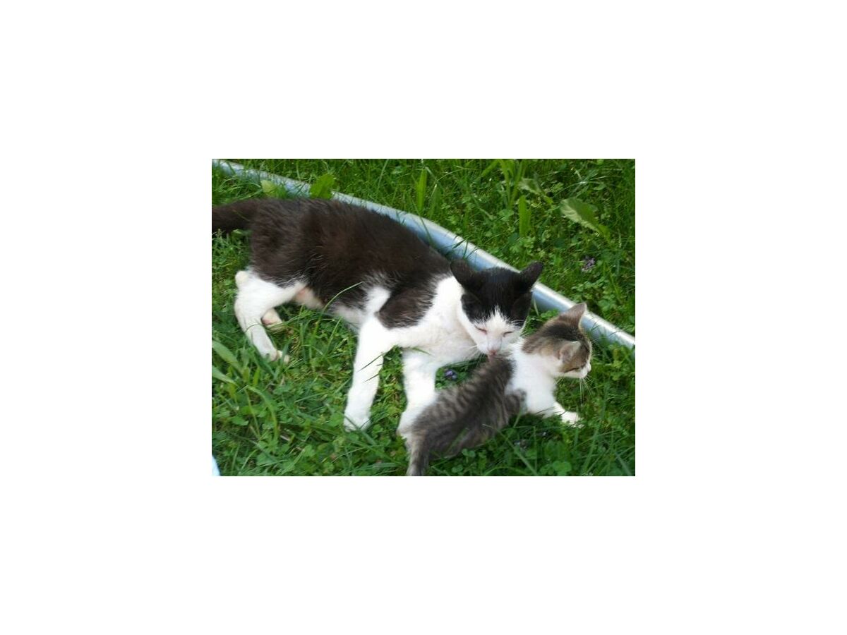 Apartment Typ A - App., Wohn-Schlafraum, Dusche, WC - Outdoor photo 5