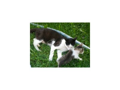 Apartment Typ A - App., Wohn-Schlafraum, Dusche, WC - Outdoor photo 5