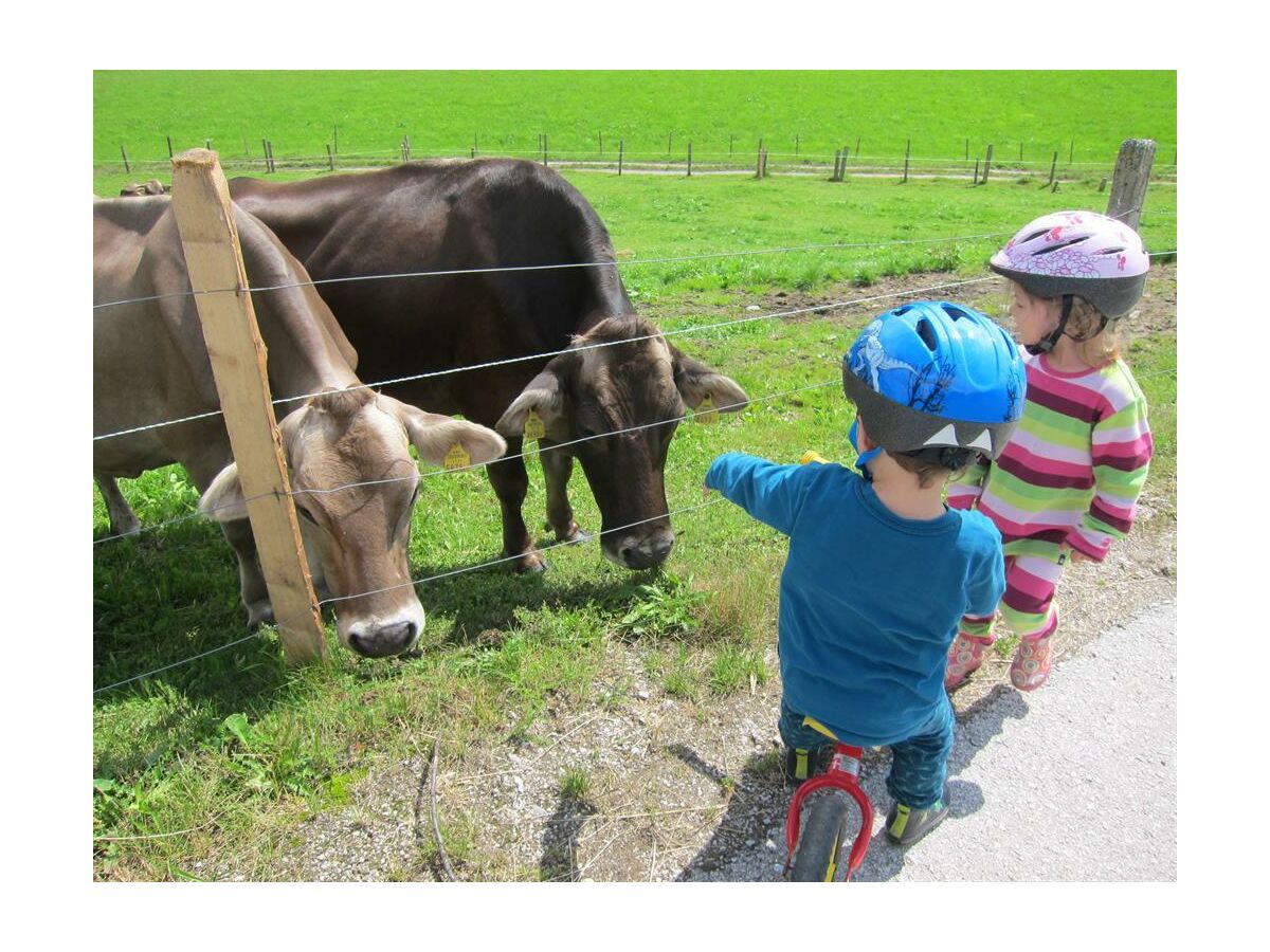 Holiday room Doppelzimmer 1 Nacht