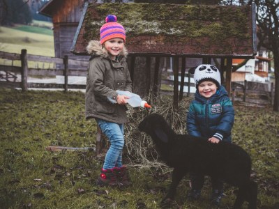 Holiday room Doppelzimmer 1 Nacht - Outdoor photo 15