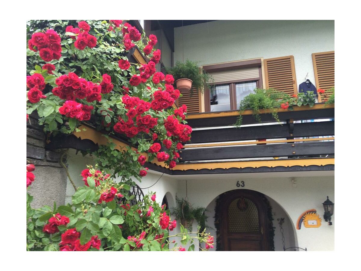 Apartment Appartement/Fewo, Dusche, WC, 2 Schlafräume