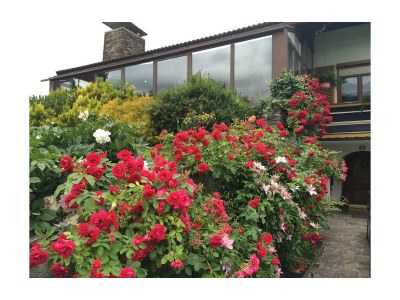 Apartment Appartement/Fewo, Dusche, WC, 2 Schlafräume - Outdoor photo 3