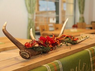 Apartment Apartment 1 - Wohn-/Schlafraum, Dusche, WC - Outdoor photo 12