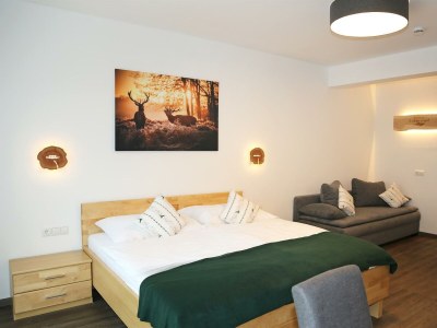 Apartment Apartment 1 - Wohn-/Schlafraum, Dusche, WC - Features photo 31