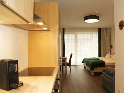 Apartment Apartment 1 - Wohn-/Schlafraum, Dusche, WC - Features photo 32