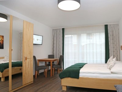 Apartment Apartment 1 - Wohn-/Schlafraum, Dusche, WC - Features photo 33