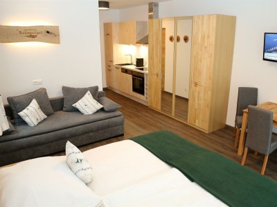 Apartment Apartment 4 - Wohn-/Schlafraum, Dusche, WC - Features photo 30