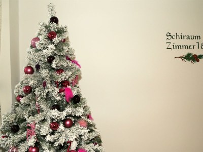 Apartment Apartment 2 - Wohn-/Schlafraum, Dusche, WC - Outdoor photo 27