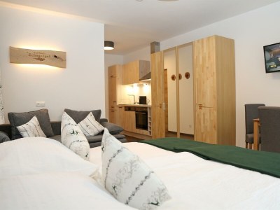 Apartment Apartment 2 - Wohn-/Schlafraum, Dusche, WC - Features photo 30