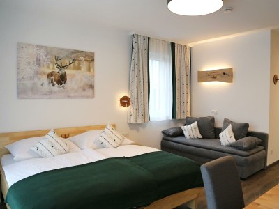 Apartment Apartment 2 - Wohn-/Schlafraum, Dusche, WC - Features photo 31