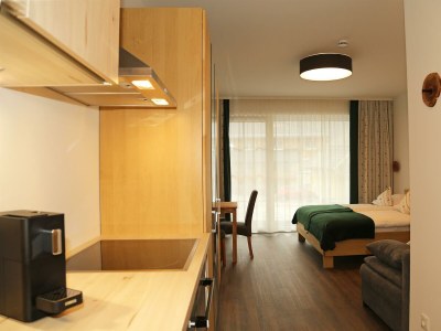 Apartment Apartment 2 - Wohn-/Schlafraum, Dusche, WC - Features photo 32