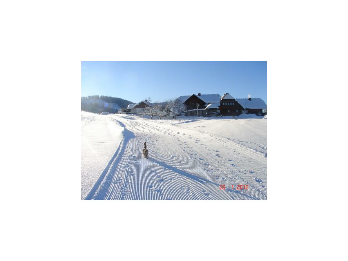 Apartment Ferienhaus 1 - 2 Schlafzimmer, Bad, WC separat - Outdoor photo 4