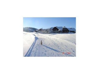 Apartment Ferienhaus 1 - 2 Schlafzimmer, Bad, WC separat - Outdoor photo 4