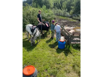 Apartment Ferienhaus 1 - 2 Schlafzimmer, Bad, WC separat - Outdoor photo 14