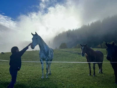 Apartment Ferienhaus 1 - 2 Schlafzimmer, Bad, WC separat - Outdoor photo 15