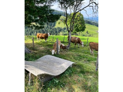 Apartment Ferienhaus 1 - 2 Schlafzimmer, Bad, WC separat - Outdoor photo 16