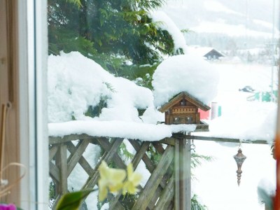 Apartment Fewo - 2 Schlafräume, Dusche und Bad, WC - Outdoor photo 14