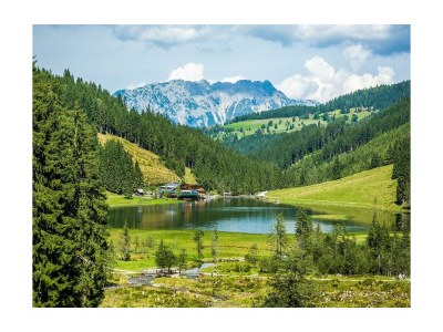 Apartment Fewo - 2 Schlafräume, Dusche und Bad, WC - Features photo 20