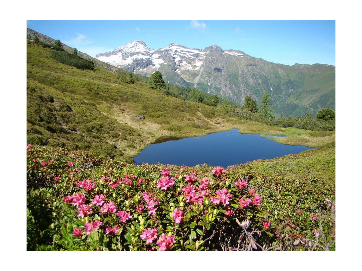 Holiday room Dreibettzimmer mit Dusche, WC - Outdoor photo 5