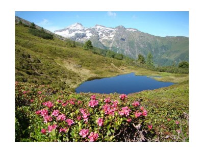 Holiday room Dreibettzimmer mit Dusche, WC - Outdoor photo 5