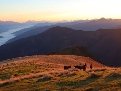 Holiday room Dreibettzimmer mit Dusche, WC - Outdoor photo 7