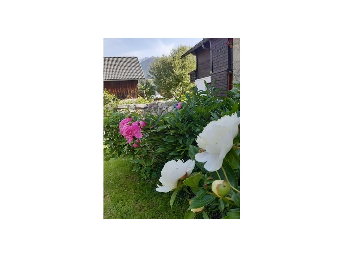 Apartment Apartment/3 Schlafräume/Dusche, WC