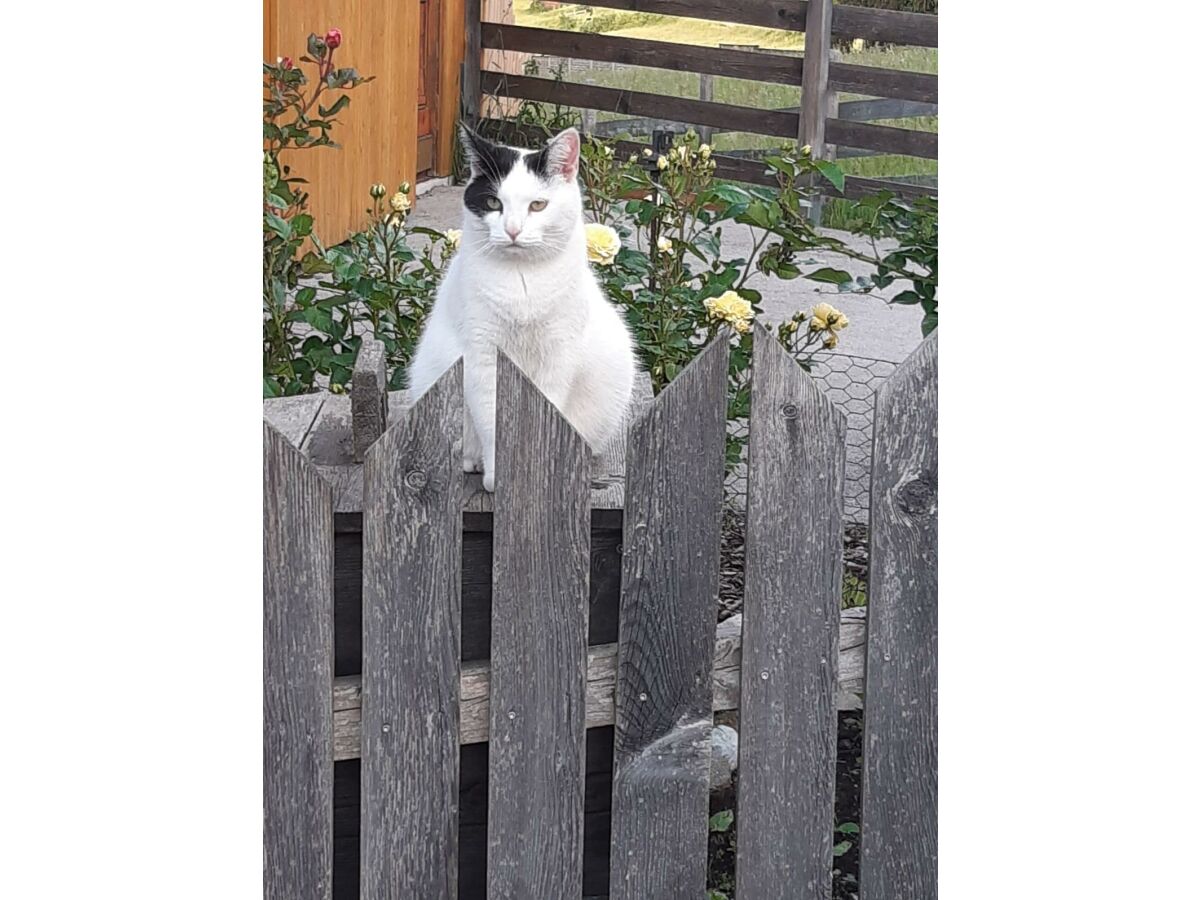 Apartment Apartment/3 Schlafräume/Dusche, WC - Outdoor photo 4