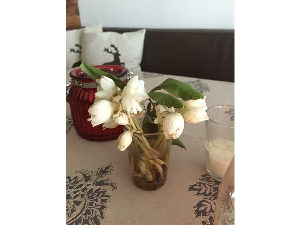 Apartment Appartement/Fewo, Dusche, WC, 2 Schlafräume