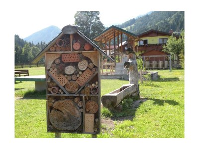 Apartment Apartment Bergblick (2-3 Pers.) - Outdoor photo 5