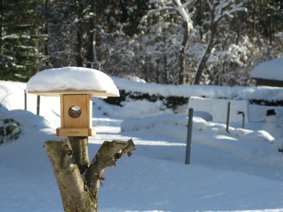 Apartment Apartment Bergblick (2-3 Pers.) - Outdoor photo 9