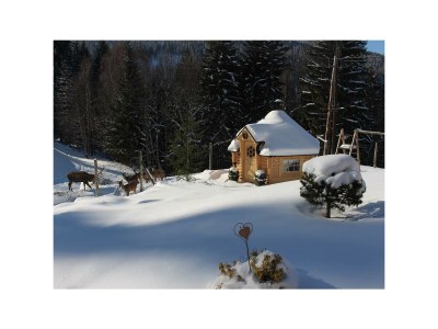 Apartment App. Dachstein - 2 Schlafräume, Dusche, WC - Outdoor photo 33