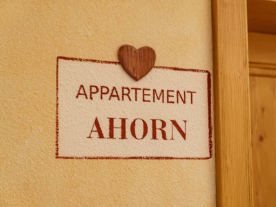 Apartment App. Dachstein - 2 Schlafräume, Dusche, WC - Outdoor photo 50