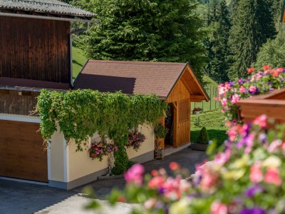 Apartment App. Dachstein - 2 Schlafräume, Dusche, WC - Outdoor photo 58